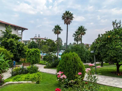 Barut Hemera