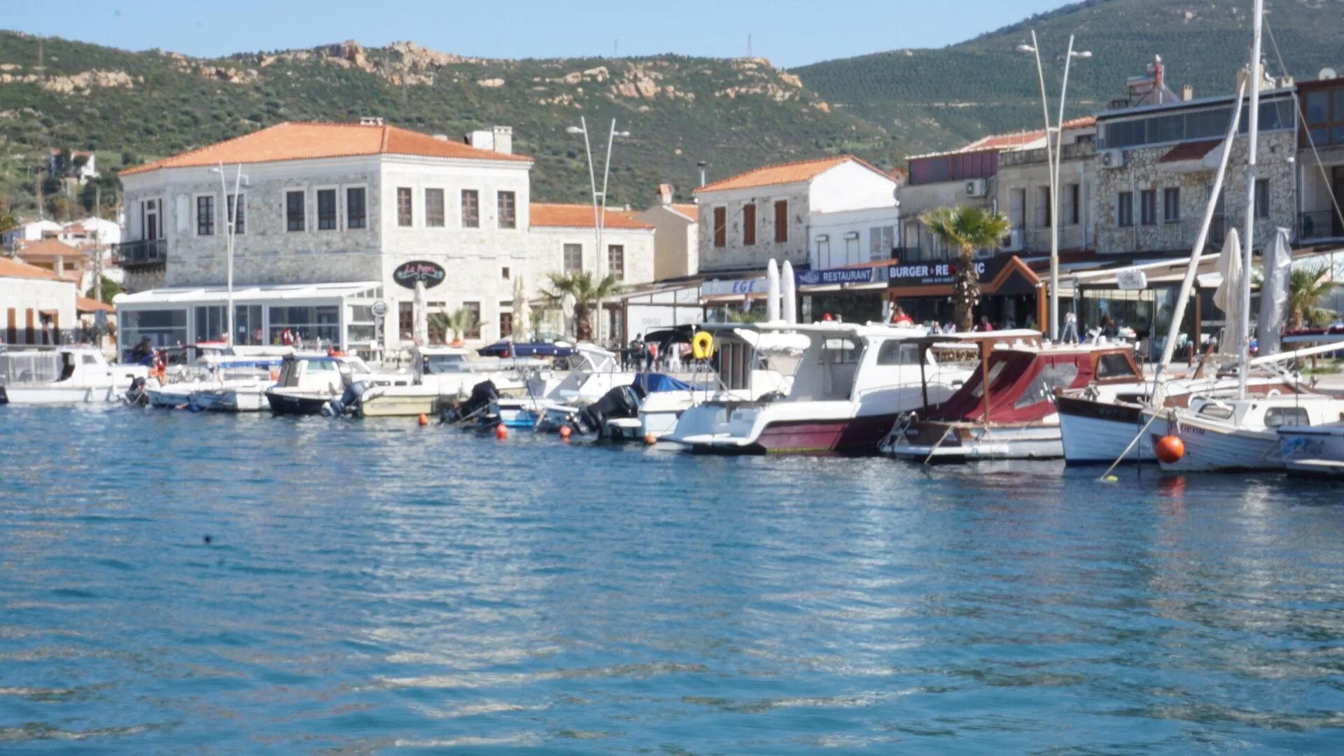Griffon Boutique Hotel